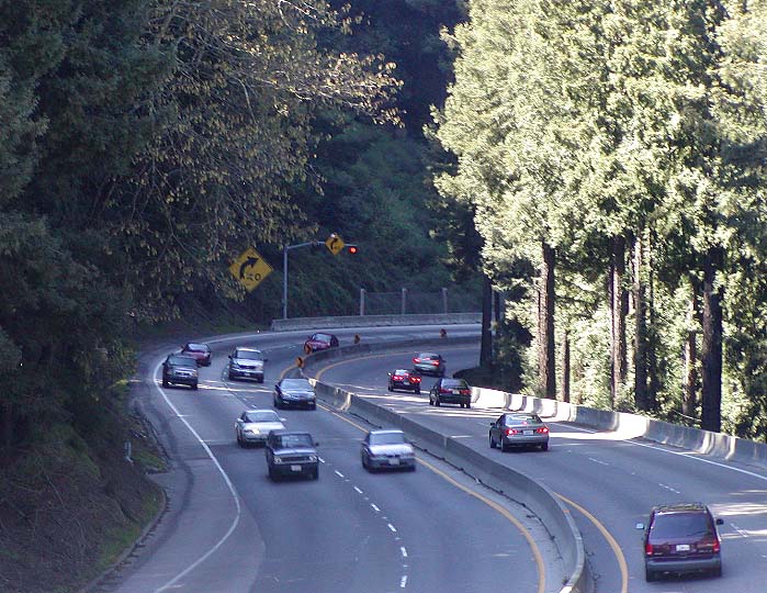 How Hard Can a Rescue Near Highway 17 Get?