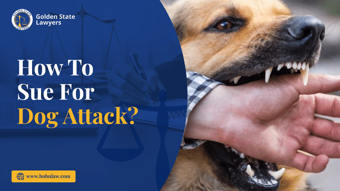 How to Sue for Dog Attack